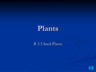 Plants