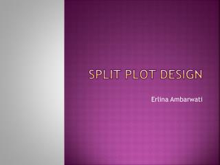 split plot design