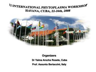 II INTERNATIONAL PHYTOPLASMA WORKSHOP HAVANA, CUBA, 22-26th, 2008