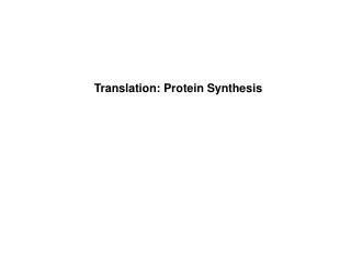 Translation: Protein Synthesis