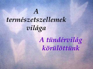 a term szetszellemek vil ga