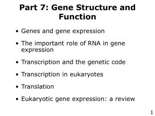 Part 7: Gene Structure and Function