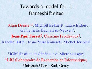 Towards a model for -1 frameshift sites