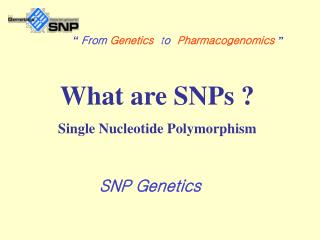What are SNPs ? Single Nucleotide Polymorphism