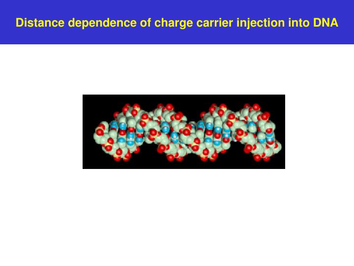 distance dependence of charge carrier injection into dna