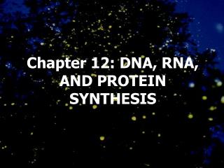 Chapter 12: DNA, RNA, AND PROTEIN SYNTHESIS