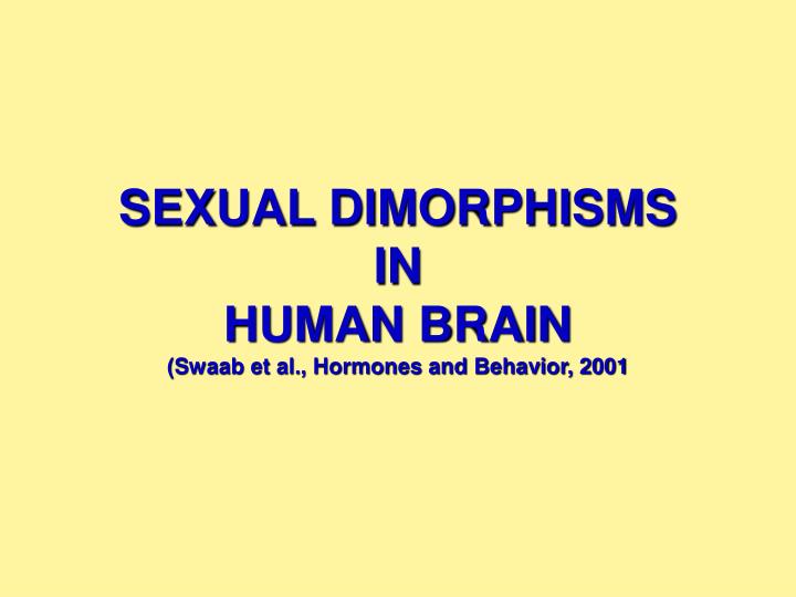 sexual dimorphisms in human brain swaab et al hormones and behavior 2001