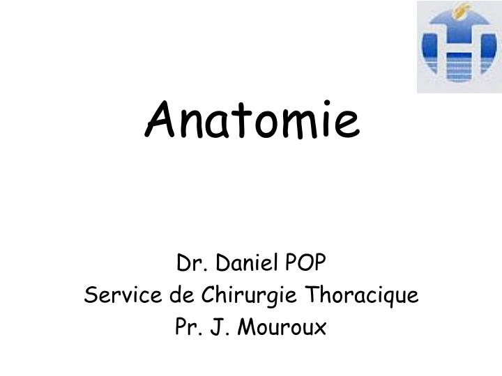 anatomie