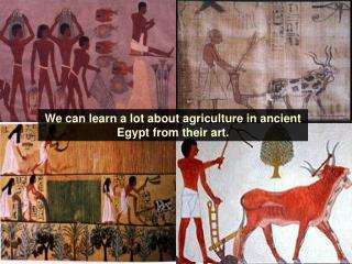 We can learn a lot about agriculture in ancient Egypt from their art.