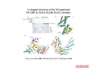 Y Guo et al. Nature 505 , 229-233 (2014) doi:10.1038/nature12884