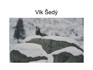 vlk ed