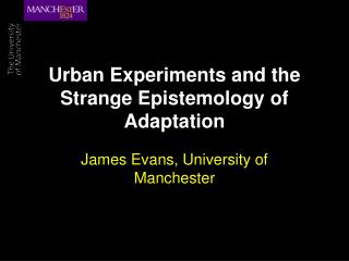 Urban Experiments and the Strange Epistemology of Adaptation