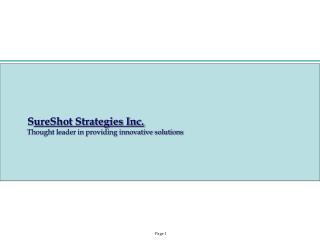 S ureShot Strategies Inc. Thought leader in providing innovative solutions