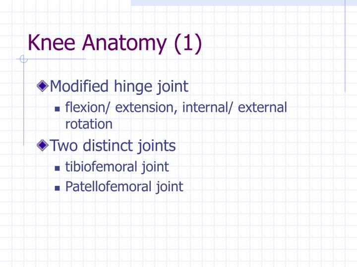 knee anatomy 1