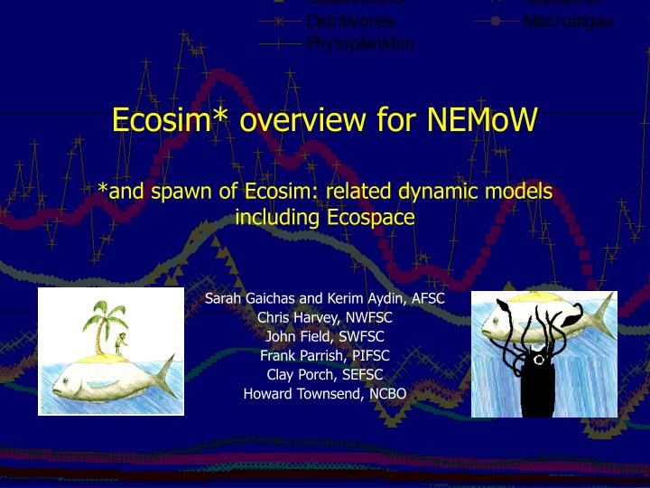 ecosim overview for nemow and spawn of ecosim related dynamic models including ecospace