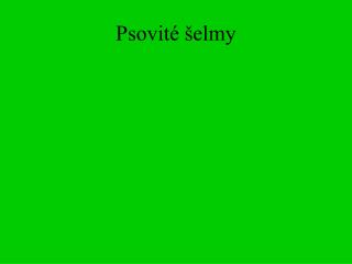 psovit elmy
