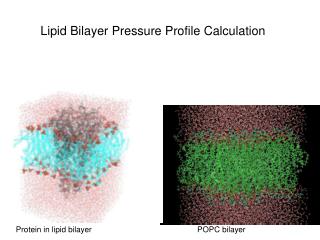 Lipid Bilayer Pressure Profile Calculation
