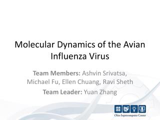 Molecular Dynamics of the Avian Influenza Virus