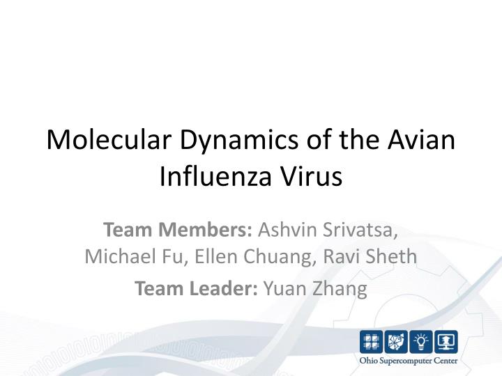 molecular dynamics of the avian influenza virus