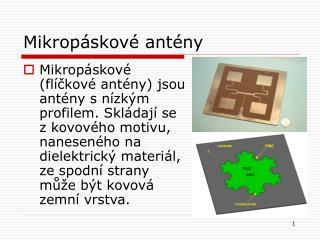 mikrop skov ant ny