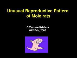 Unusual Reproductive Pattern of Mole rats