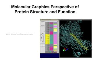 Molecular Graphics Perspective of Protein Structure and Function