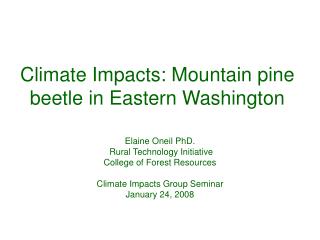 Climate Impacts: Mountain pine beetle in Eastern Washington