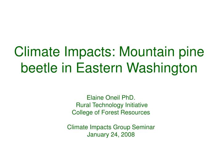 climate impacts mountain pine beetle in eastern washington
