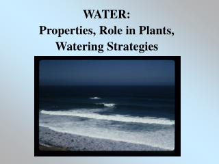 WATER: Properties, Role in Plants, Watering Strategies