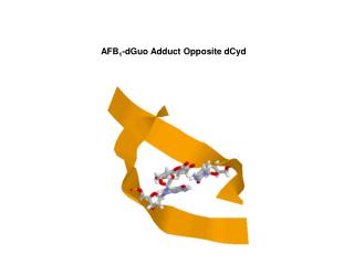 AFB 1 -dGuo Adduct Opposite dCyd