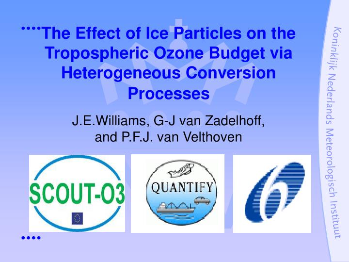 the effect of ice particles on the tropospheric ozone budget via heterogeneous conversion processes