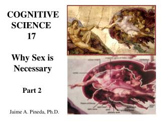 COGNITIVE SCIENCE 17 Why Sex is Necessary Part 2 Jaime A. Pineda, Ph.D.