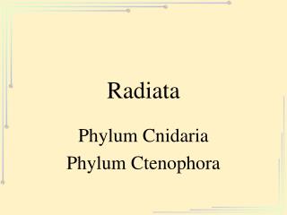 radiata