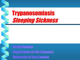Trypanosomiasis Sleeping Sickness