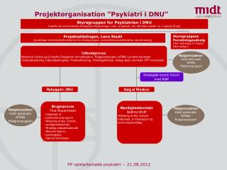 projektorganisation psykiatri i dnu