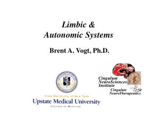 Limbic &amp; Autonomic Systems