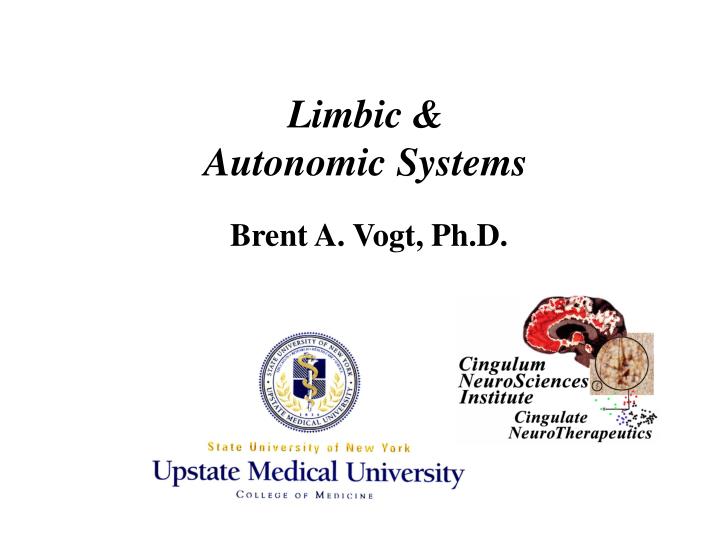 limbic autonomic systems
