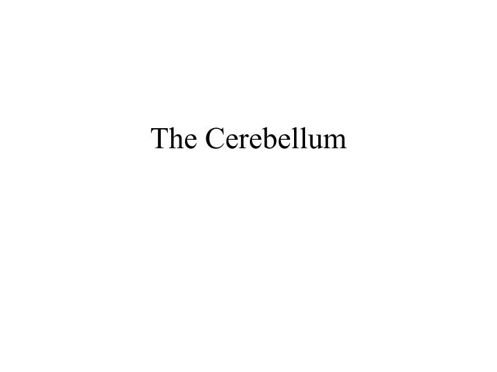 the cerebellum