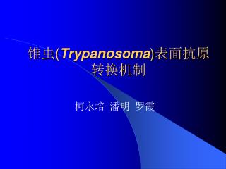 trypanosoma