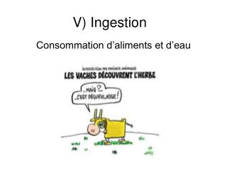 v ingestion
