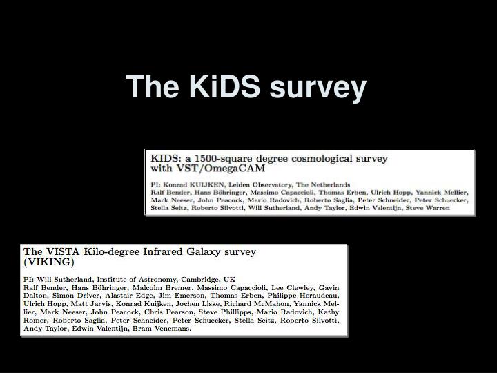 the kids survey