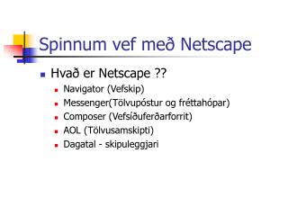 spinnum vef me netscape