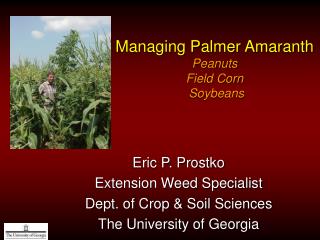 Managing Palmer Amaranth Peanuts Field Corn Soybeans