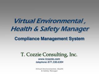 Virtual Environmental , Health &amp; Safety Manager