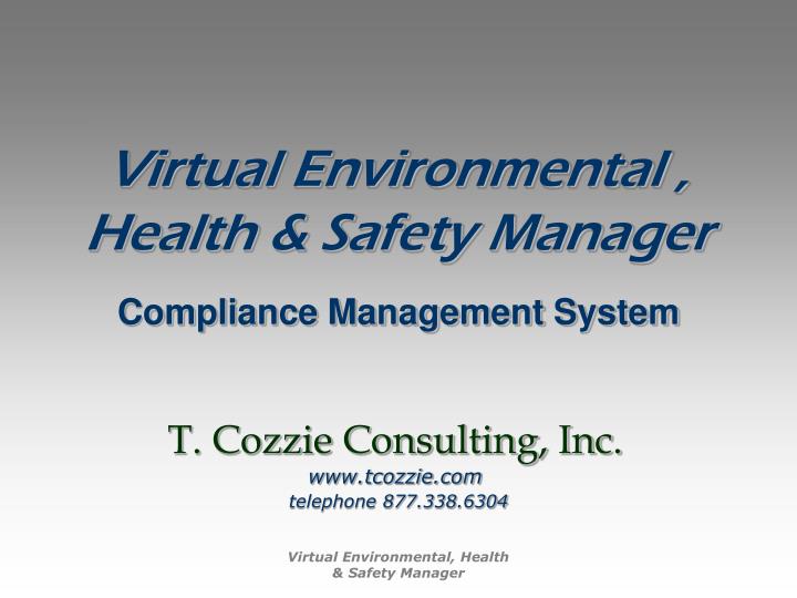 virtual environmental health safety manager