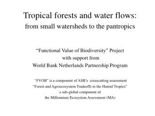 Tropical forests and water flows: from small watersheds to the pantropics