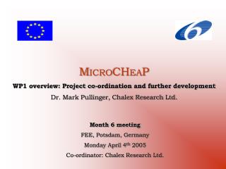 M ICRO CH EA P WP1 overview: Project co-ordination and further development