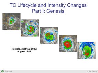 TC Lifecycle and Intensity Changes Part I: Genesis