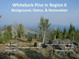 Whitebark Pine in Region 6 Background, Status, &amp; Restoration