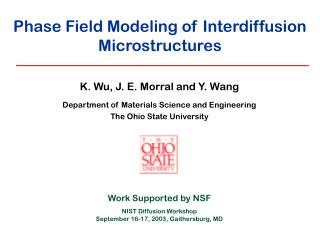 Phase Field Modeling of Interdiffusion Microstructures